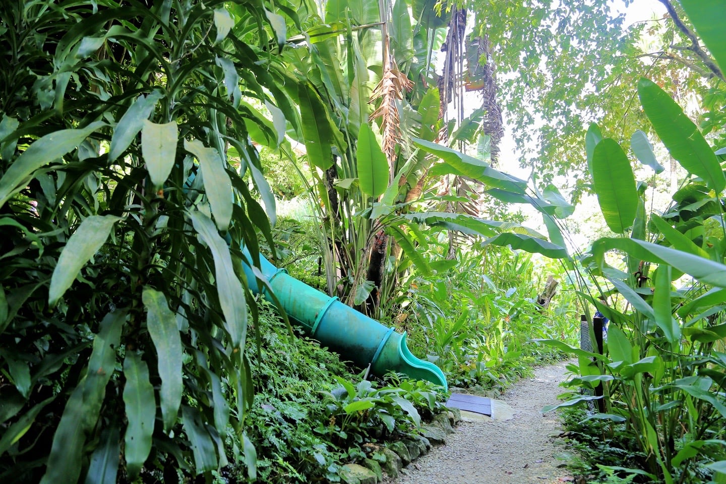 kids slides at Tropical Spice Garden Penang
