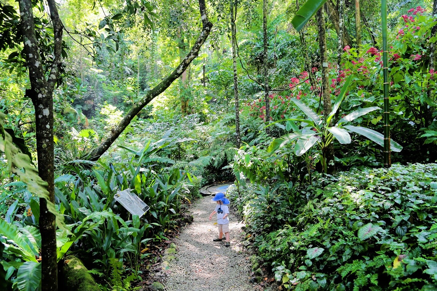 tropical jungle spice farm