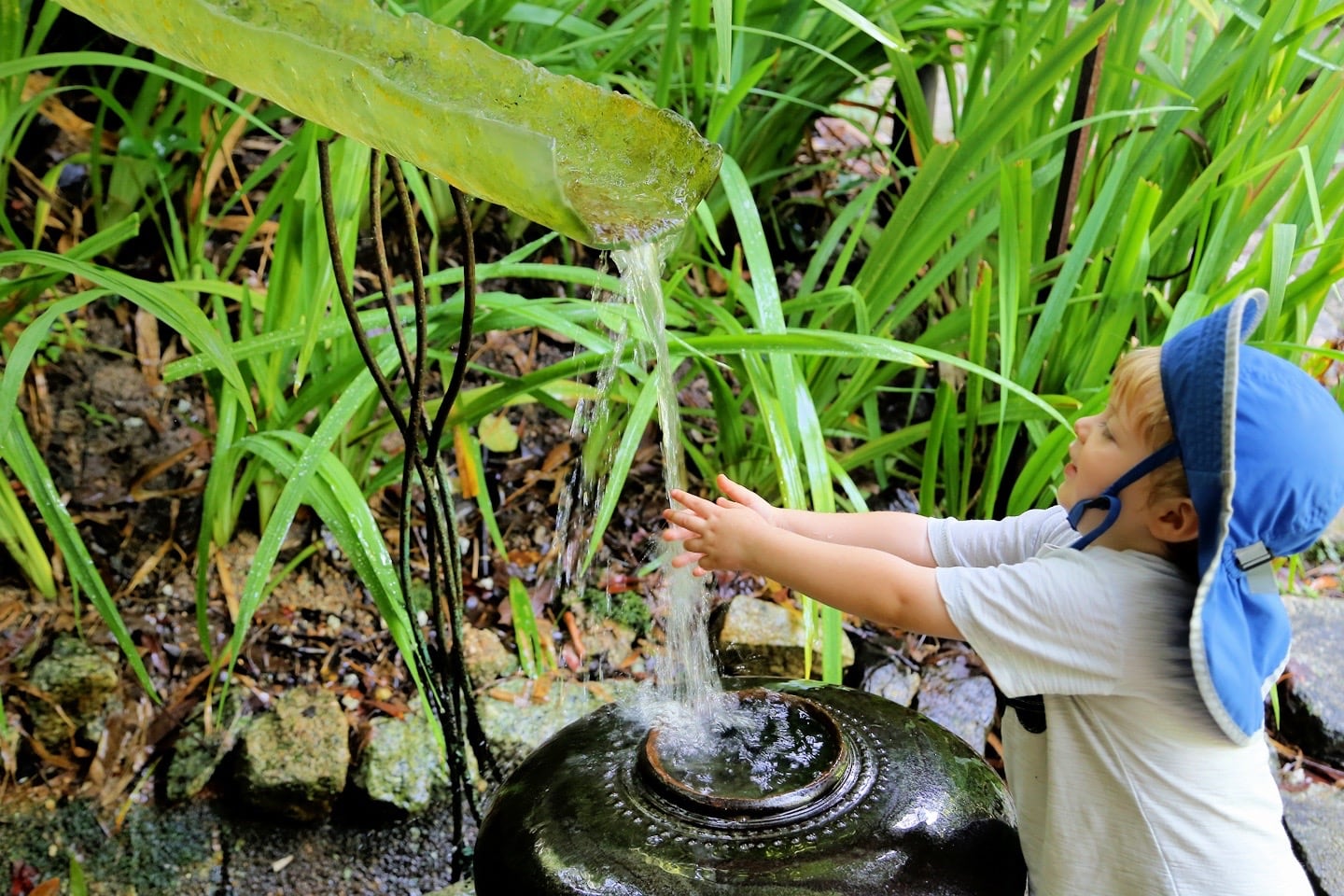 washing hands before tea time Tropical Spice Garden Penang