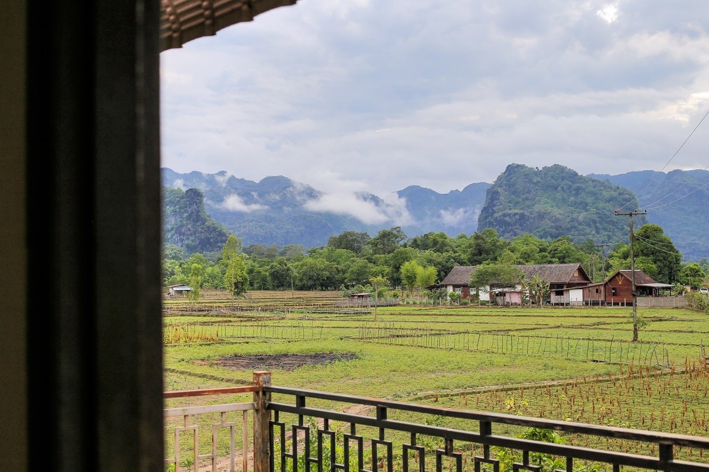 rice paddies in Ban O Laos