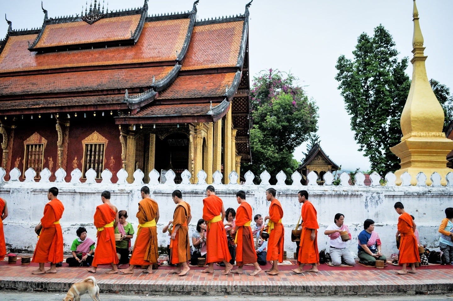 tak bat things to do in Luang Prabang Laos