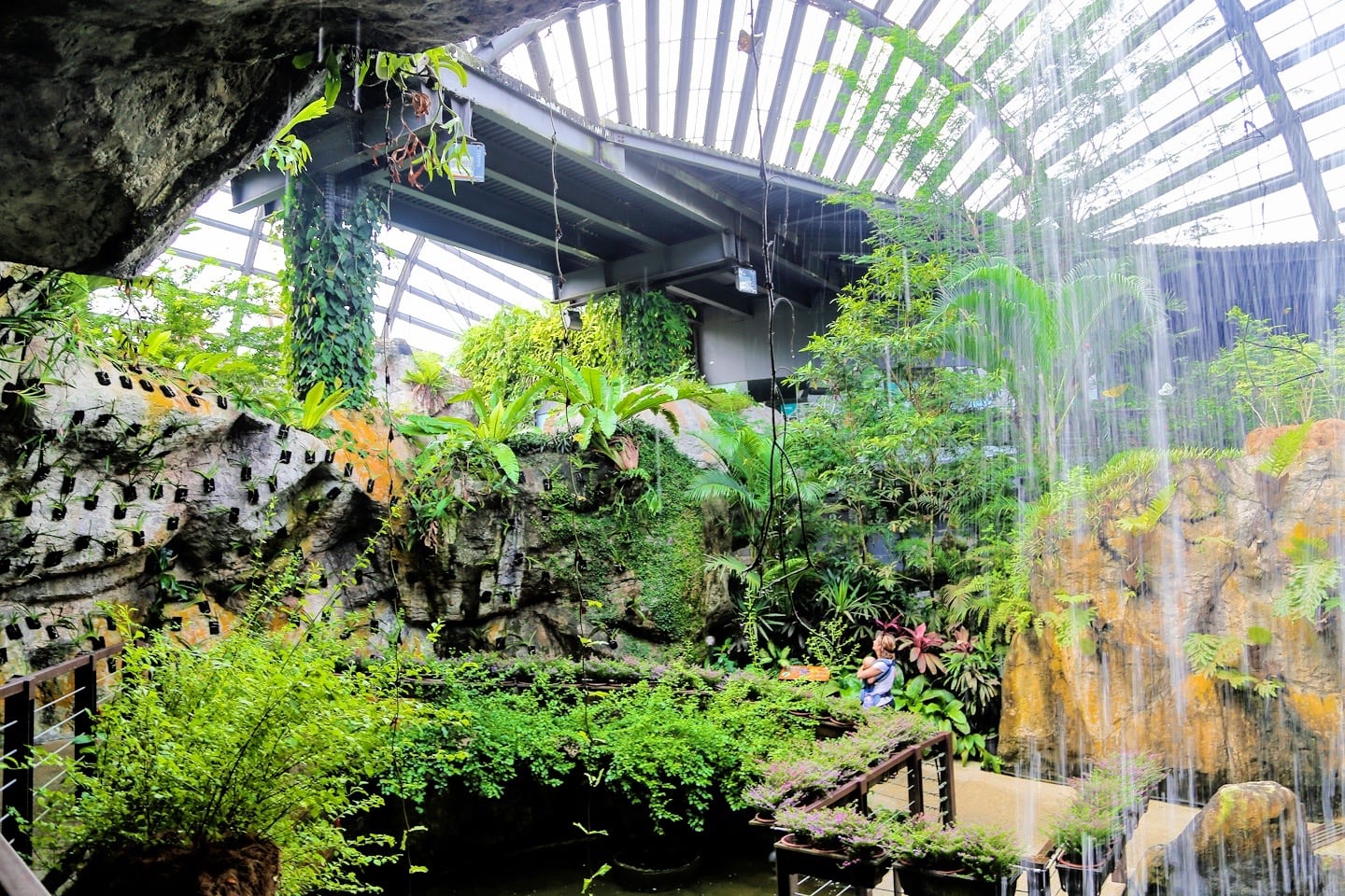 things to do in Penang Butterfly Farm