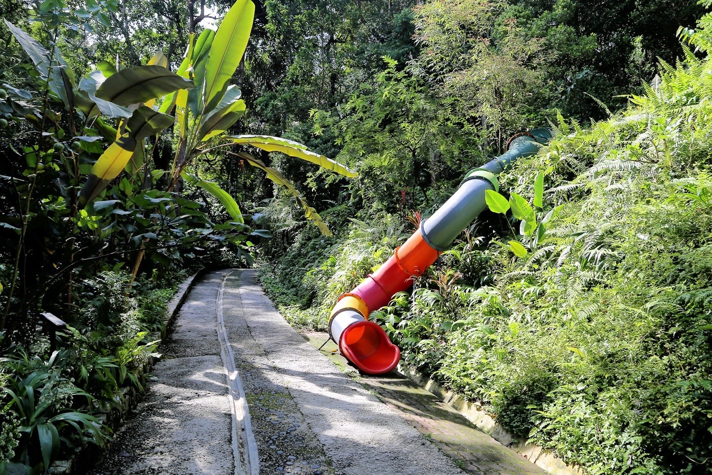 slide in tropical spice garden