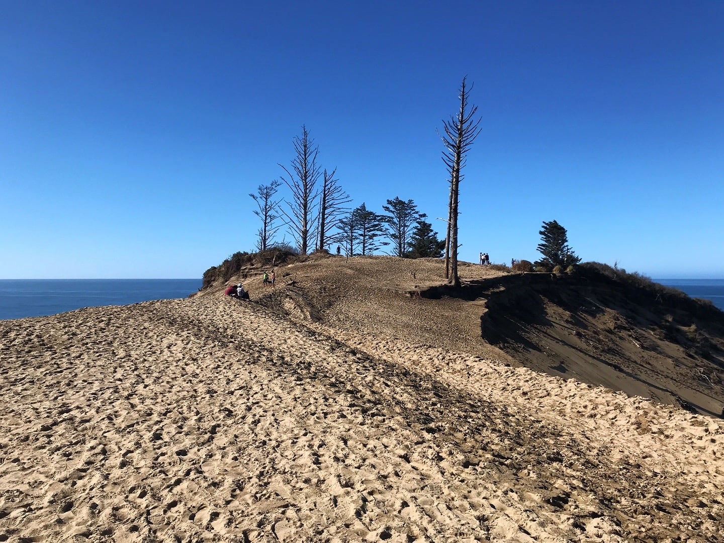 ridge line of headland dune