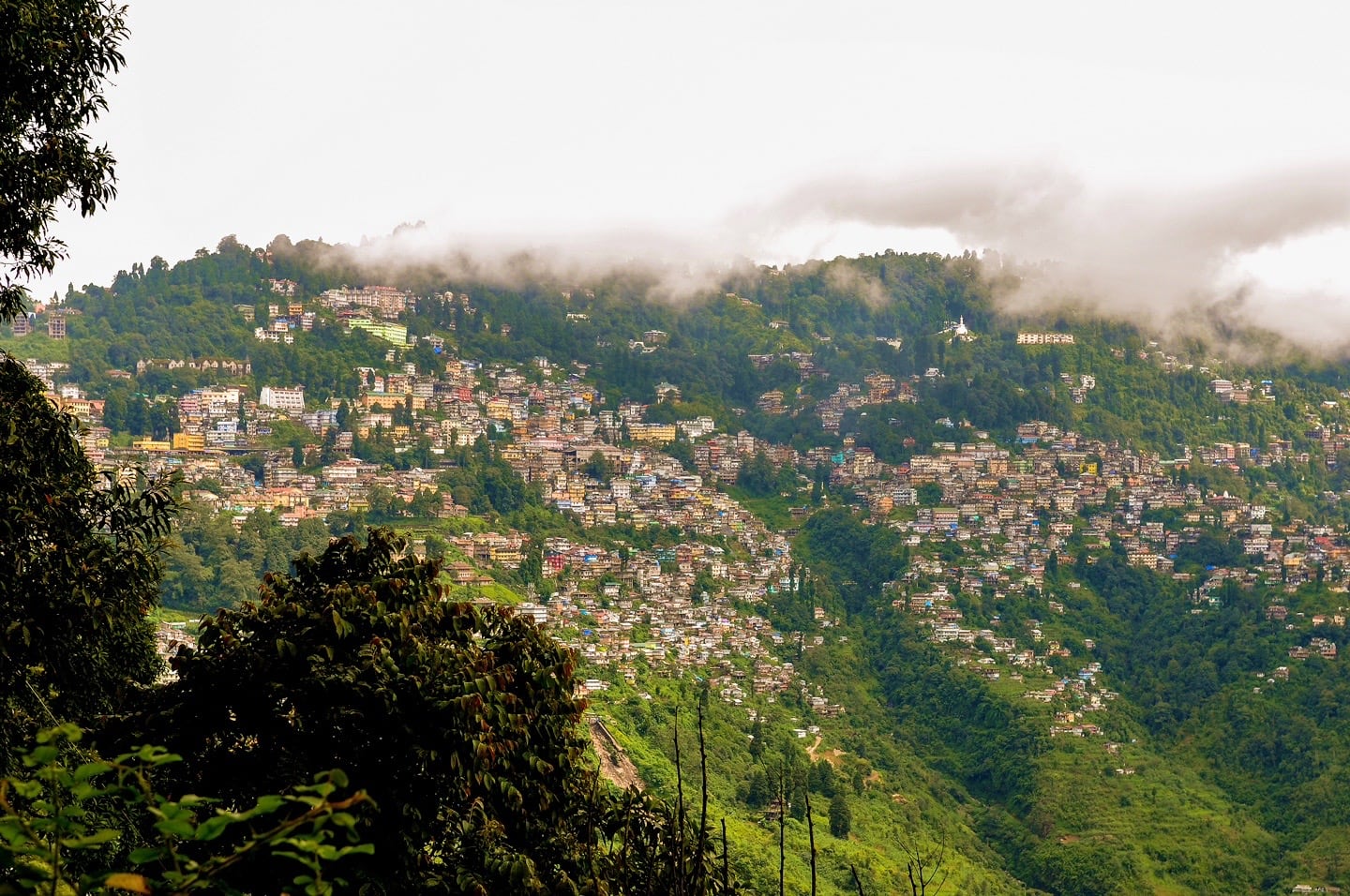 best hotels in Darjeeling luxury 5 star resorts