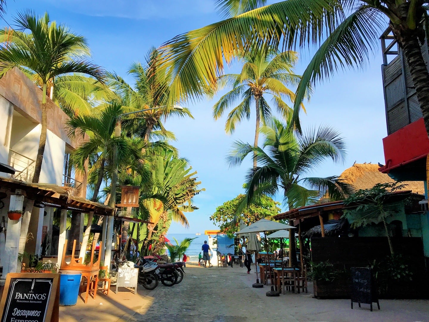 beach town palm trees