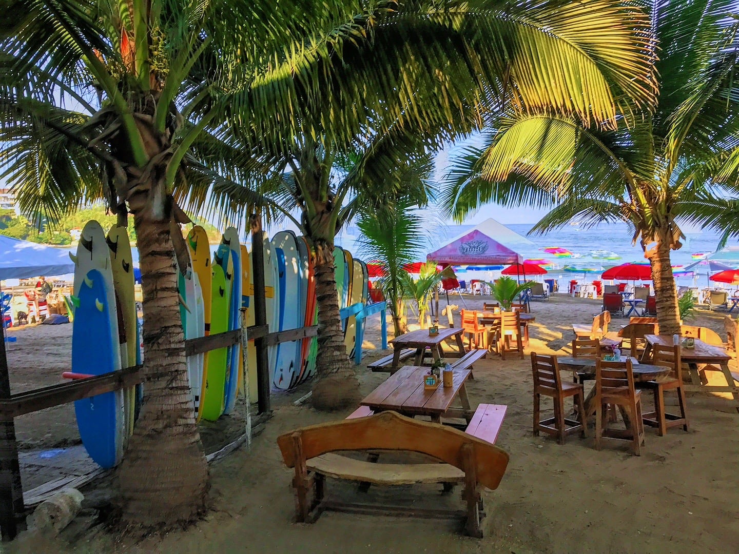 surfboards lined up under palm trees on beach in Sayulita Mexico