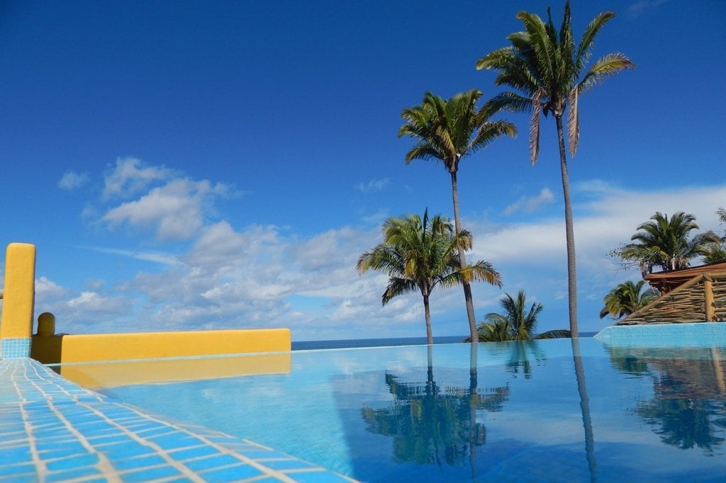 rooftop pool with palm trees and blue sky