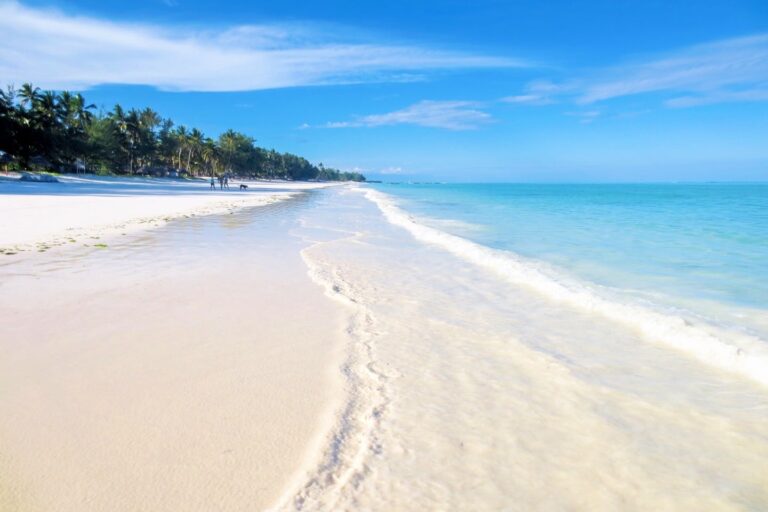 Jambiani Beach (Zanzibar) Why Visit + Top Things to Do