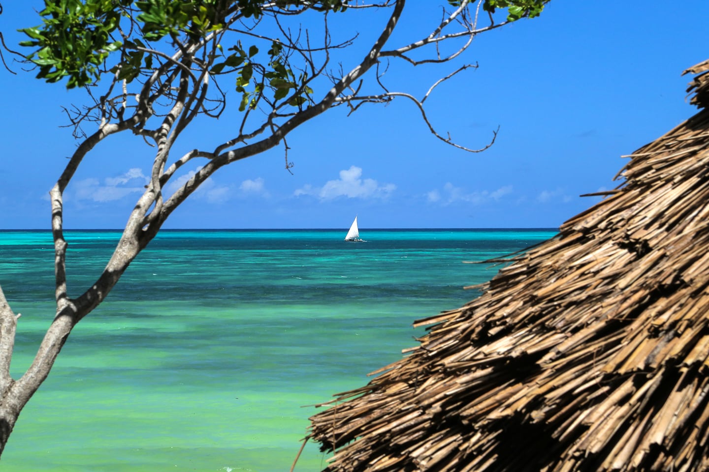 dhow sailboat off the coast of Jambiani Beach