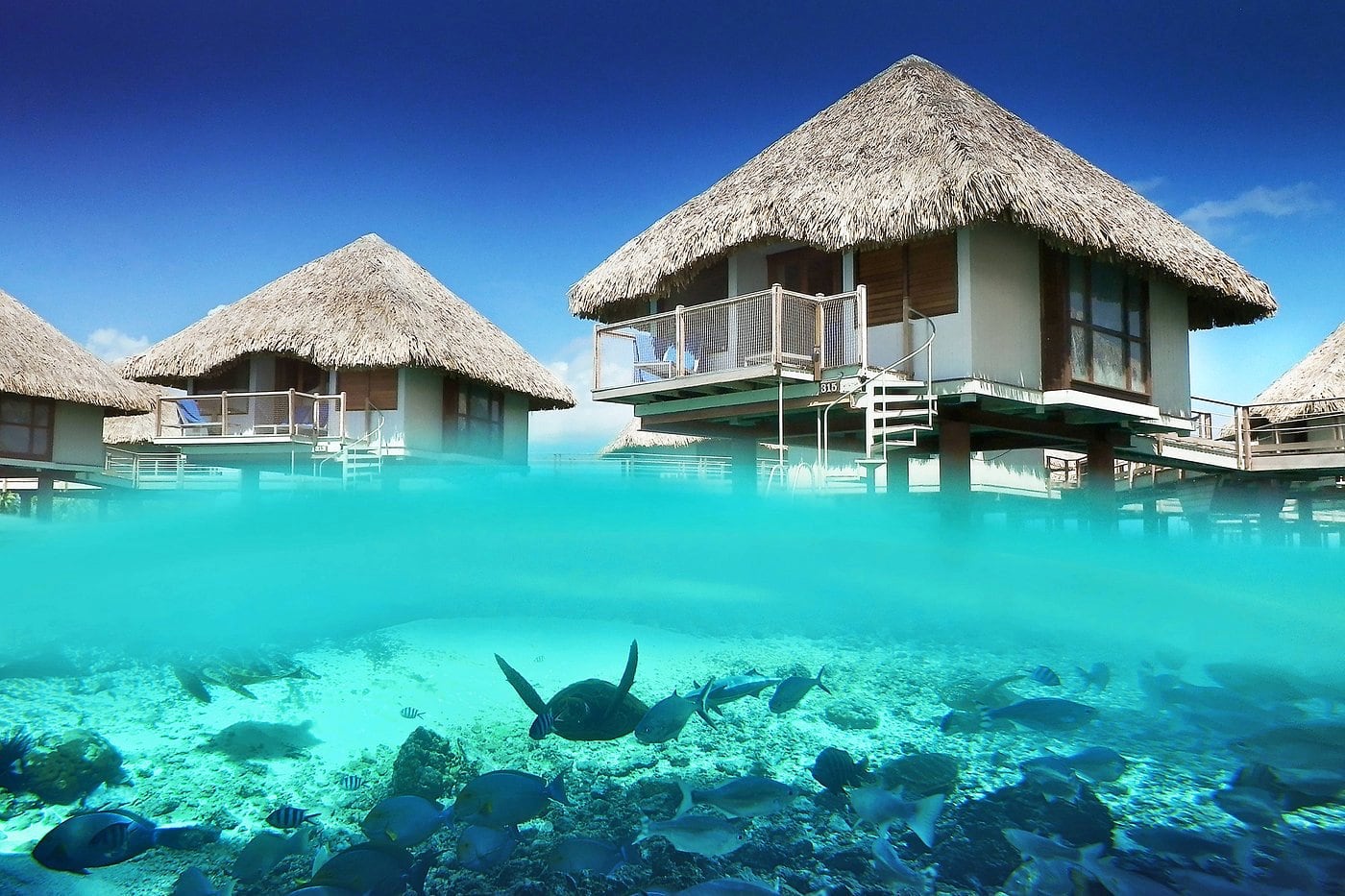 Le Meridien overwater bungalows in Bora Bora