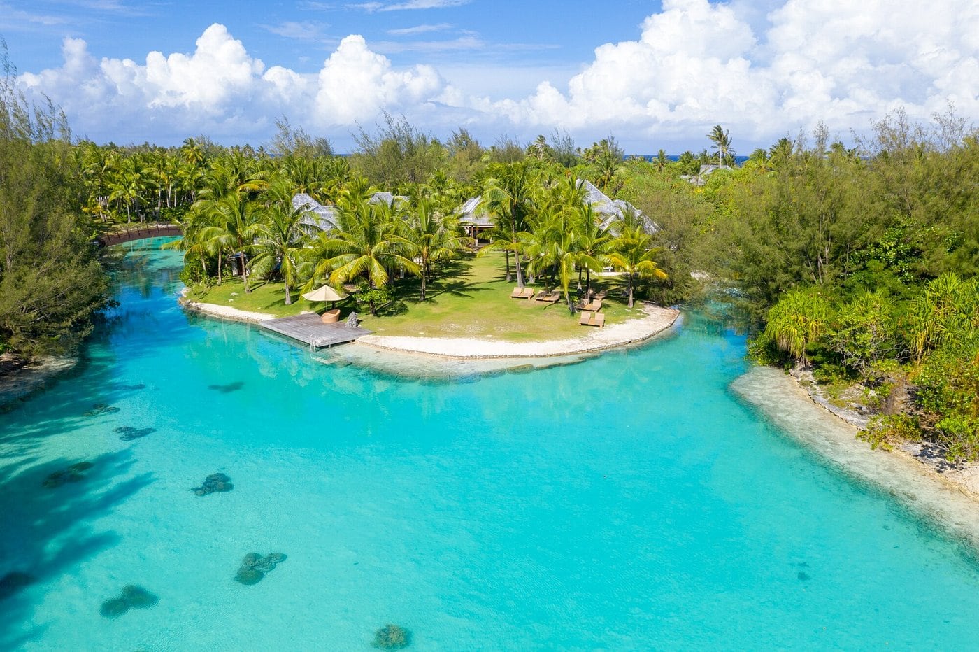 resort near sea and mangroves