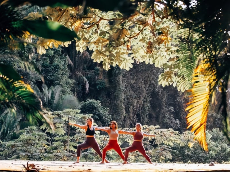 people practicing yoga at jungle retreat