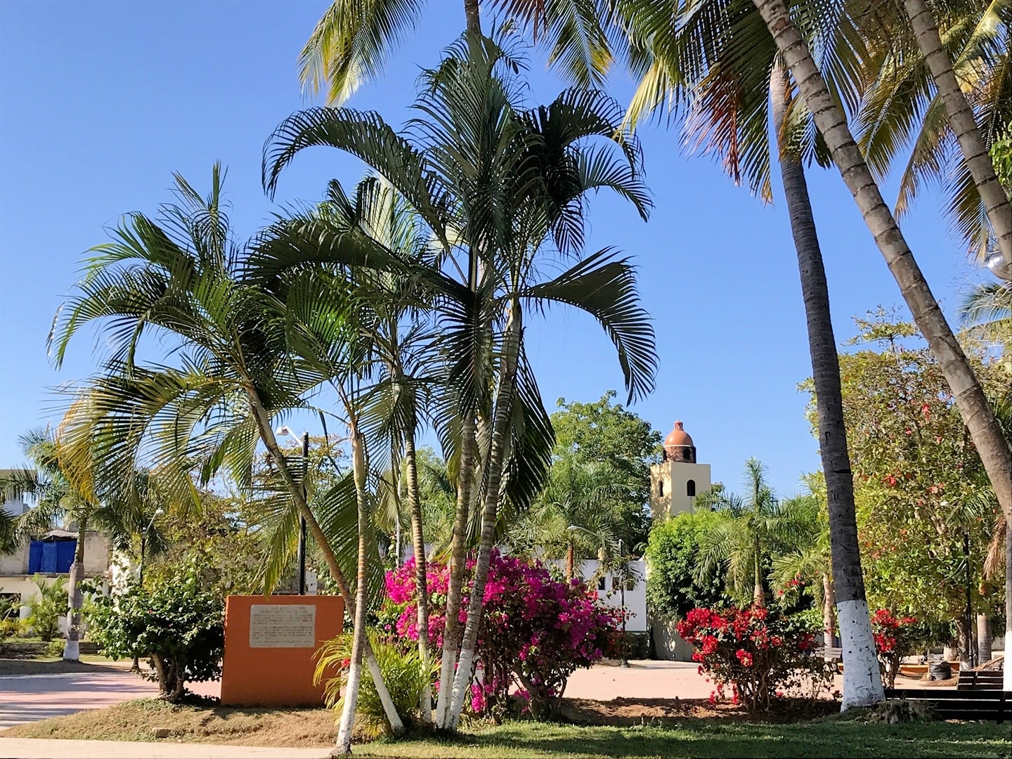 church and palm trees on a sunny day in Higuera Blanca, Nayarit