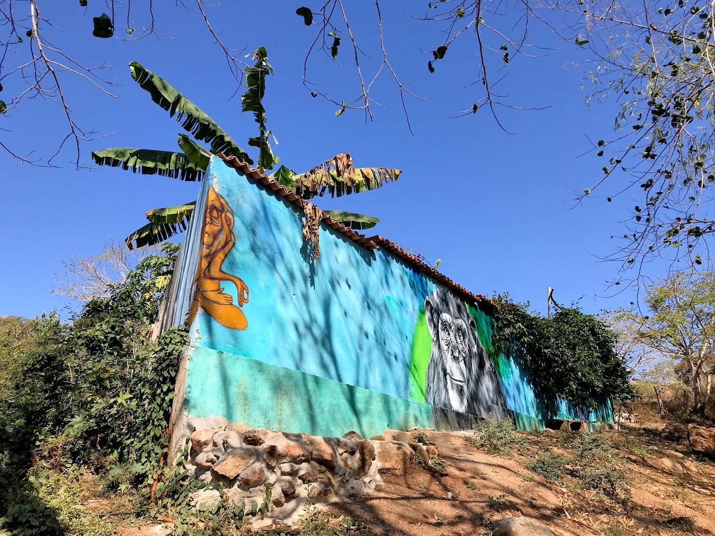 colorful mural with monkey face in Nayarit