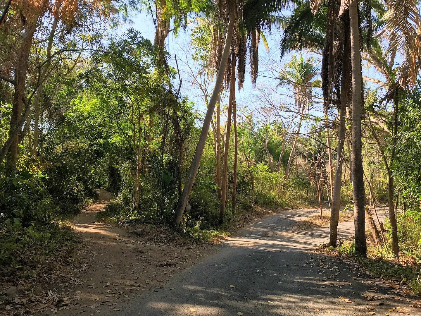 Monkey Mountain Sayulita hike Higuera Blanca