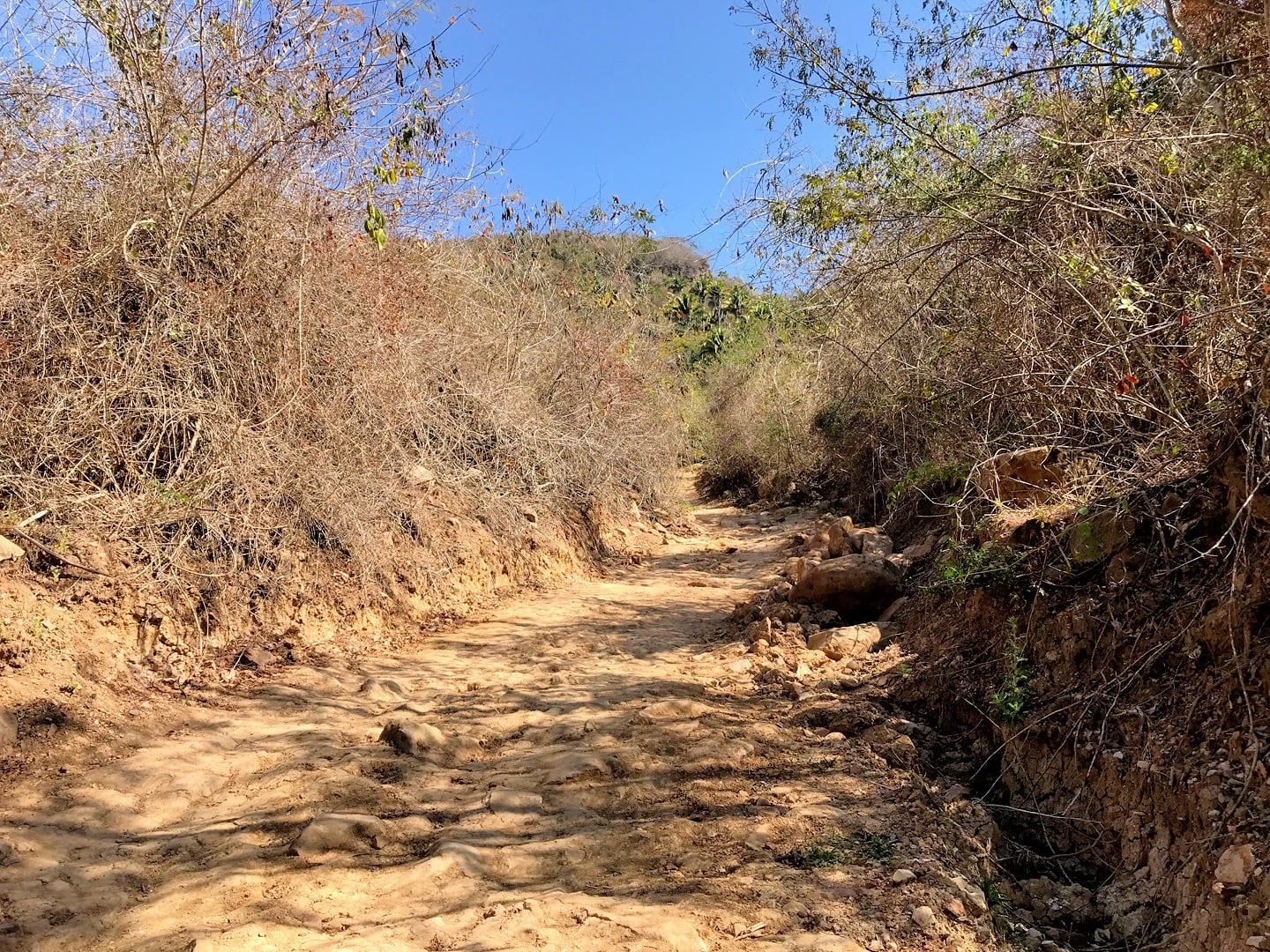 dirt track trail to Monkey Mountain near Higuera Blanca and Sayulita