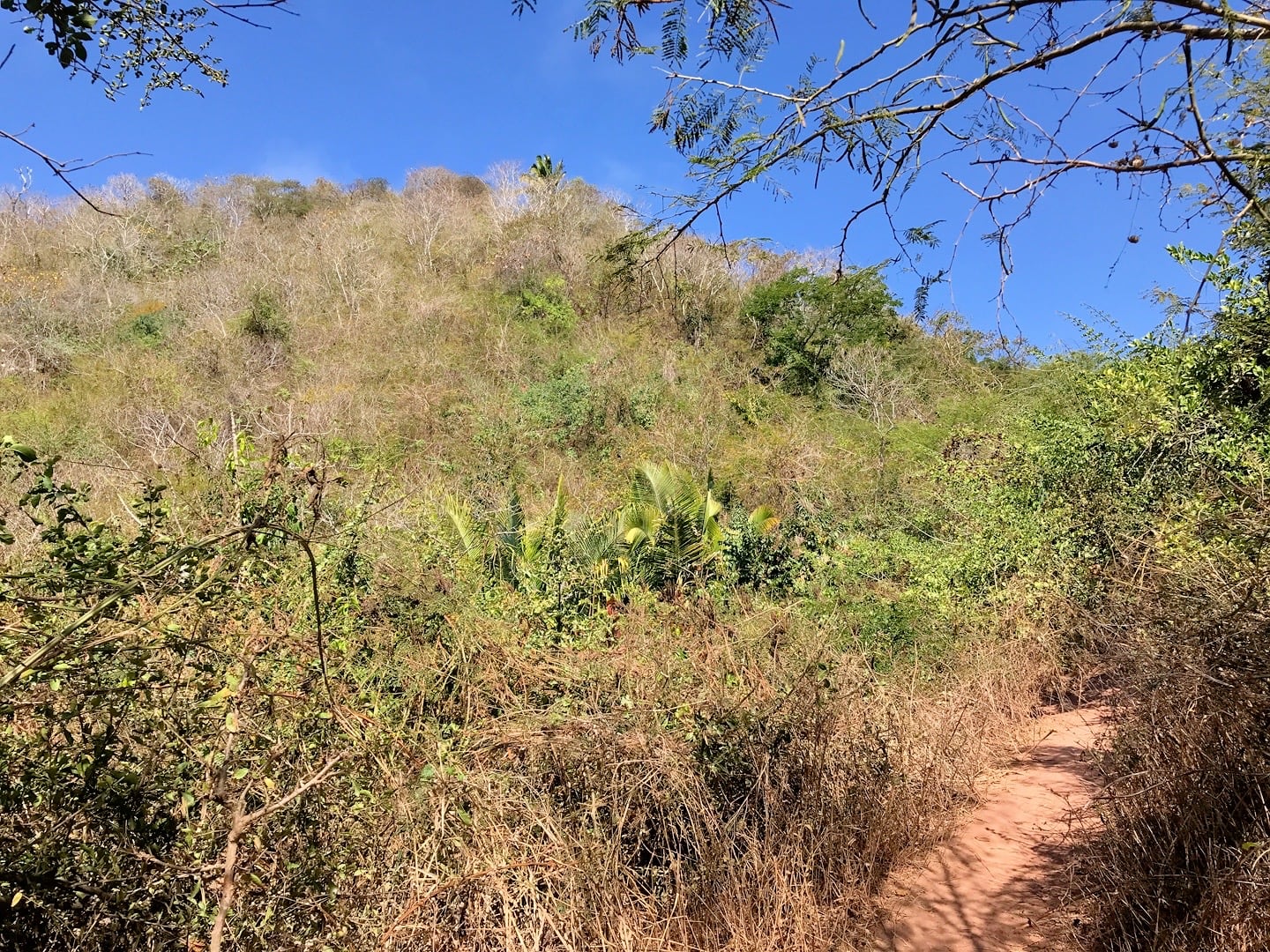 Monkey Mountain near Sayulita Nayarit