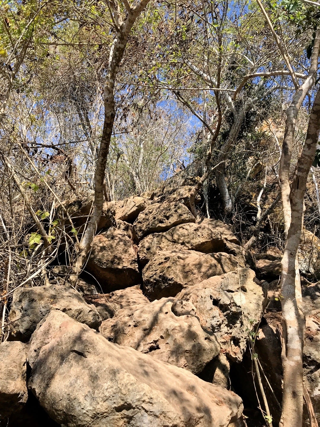boulders on summit of Monkey Mountain