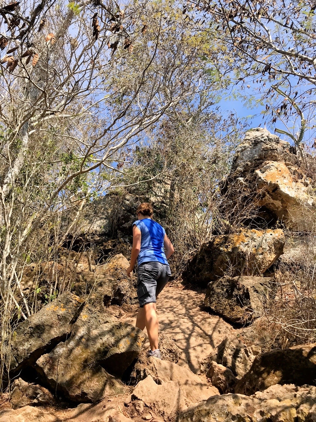 climbing Monkey Mountain