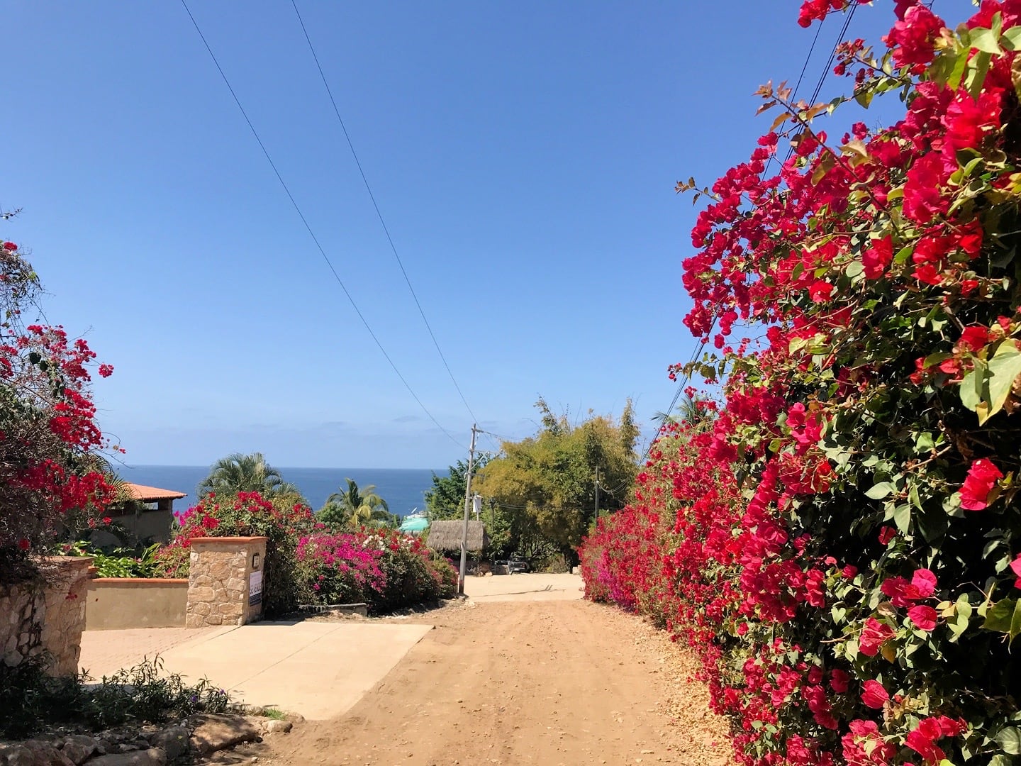 Litibu Beach community and red flowers