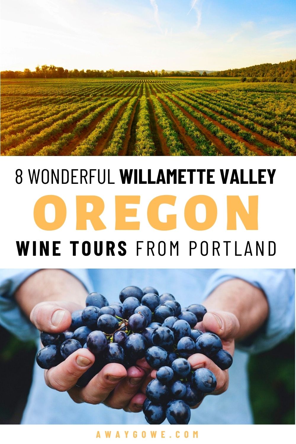 Willamette Valley Wine Tours