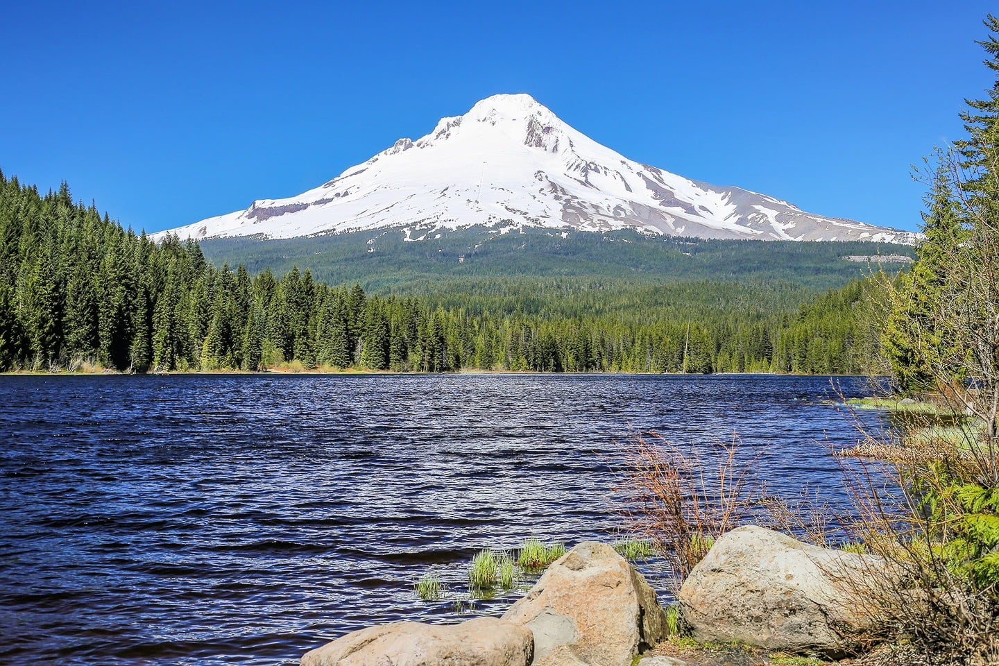 Trillium Lake and Mount Hood