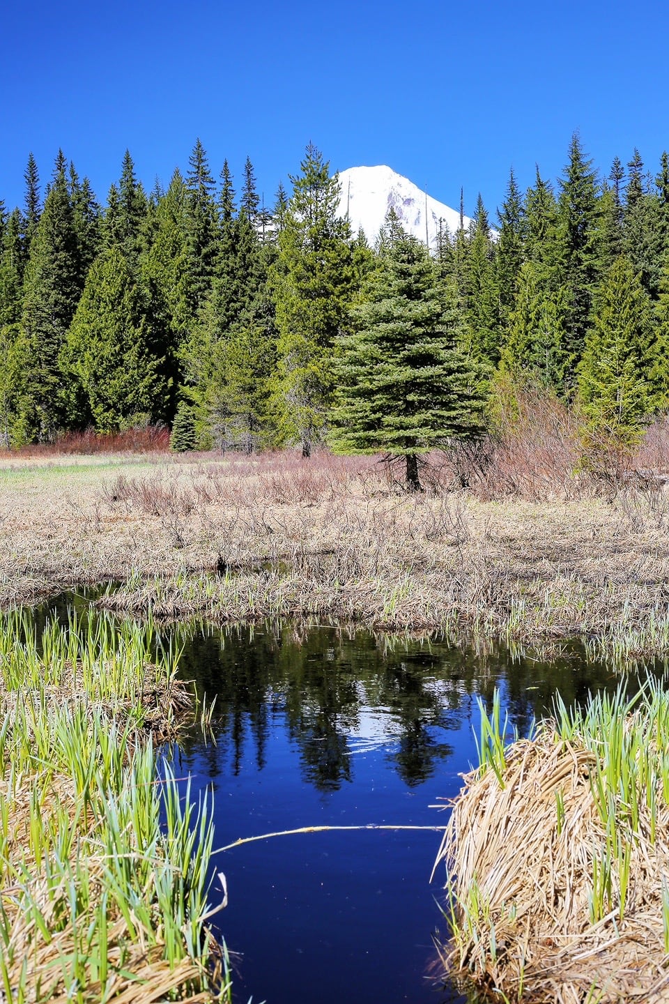 lake and mountain