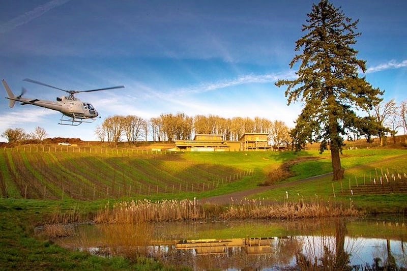 helicopter over vineyard
