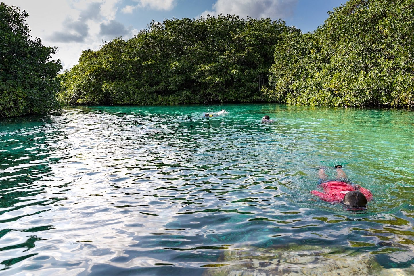 snorkeler in Casa Cenote best Tulum cenotes