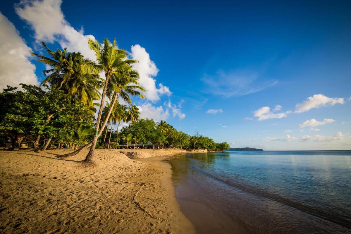 St. Lucia honeymoon palm trees and beach