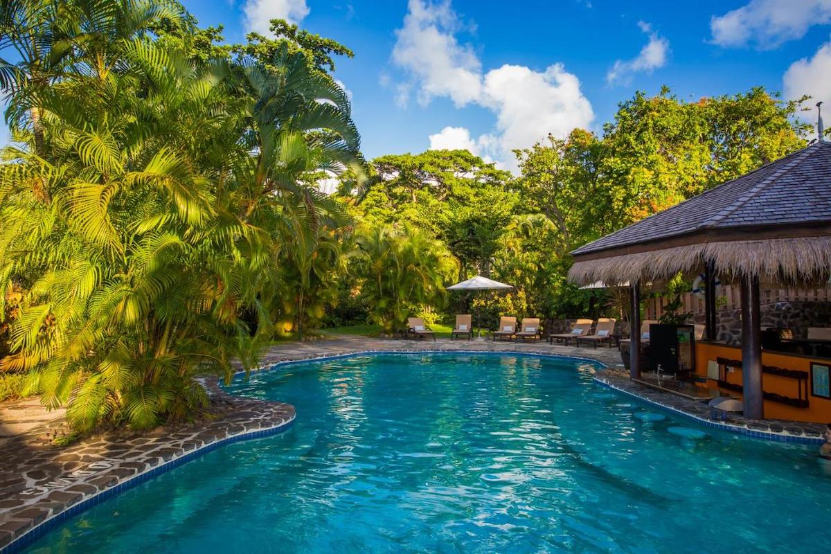 tropical resort pool and jungle