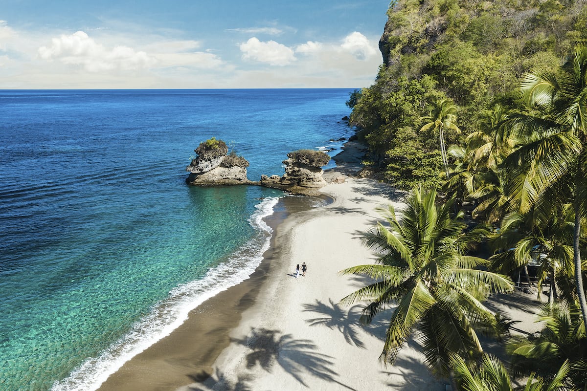 white sands beach fringed with palms