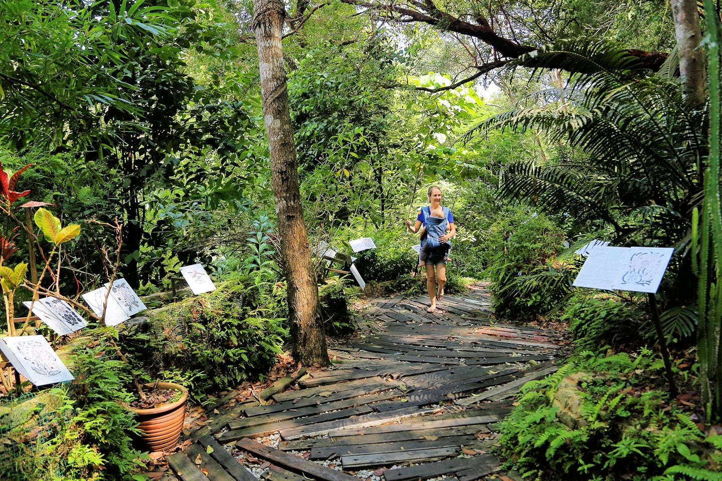 Tropical Spice Garden Batu Ferringhi Beach Penang