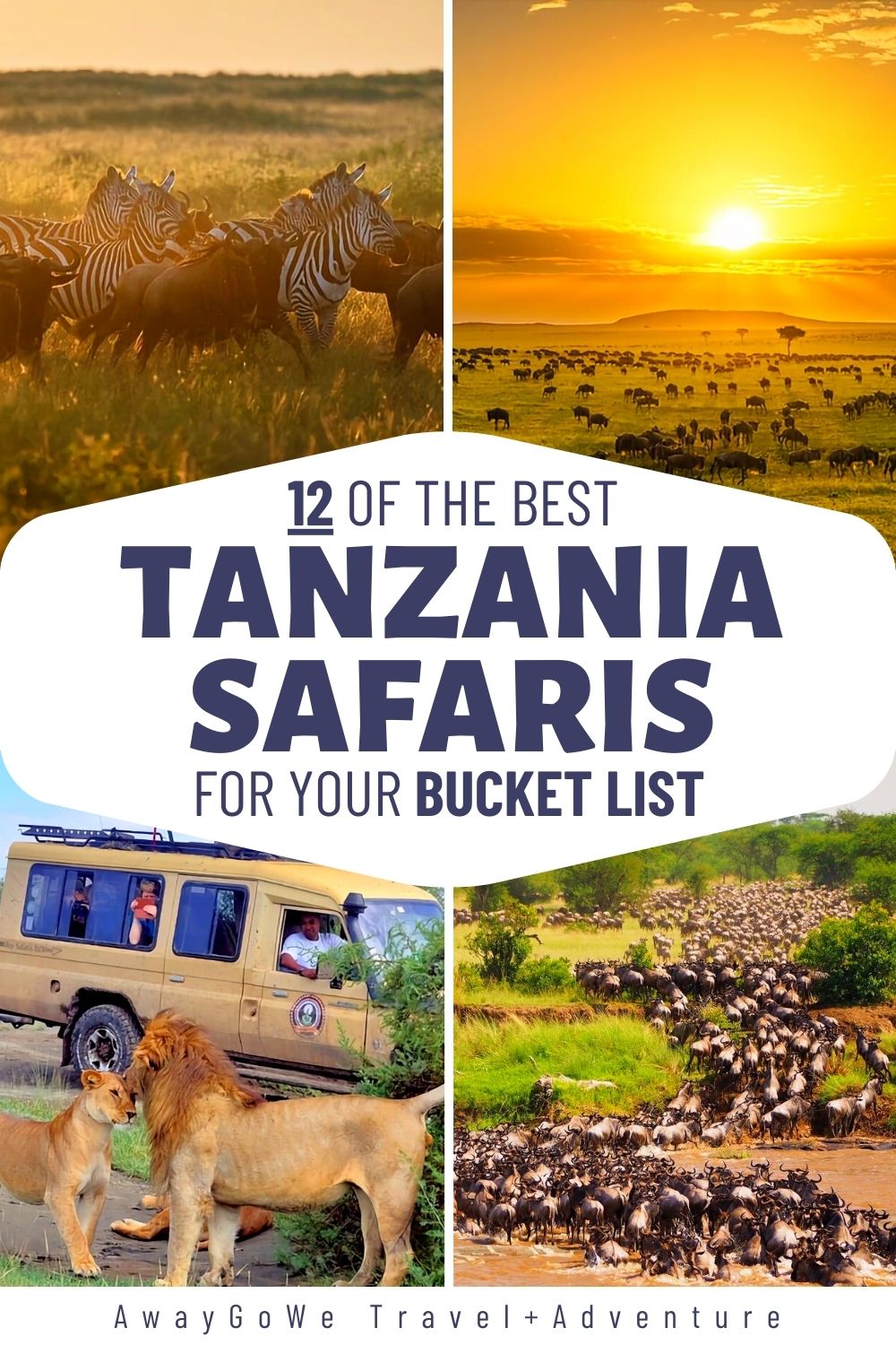 Best Tanzania safari tours