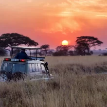best Tanzania safari tours