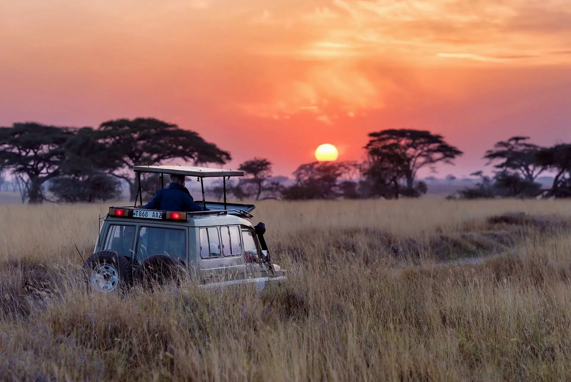 best Tanzania safari tours
