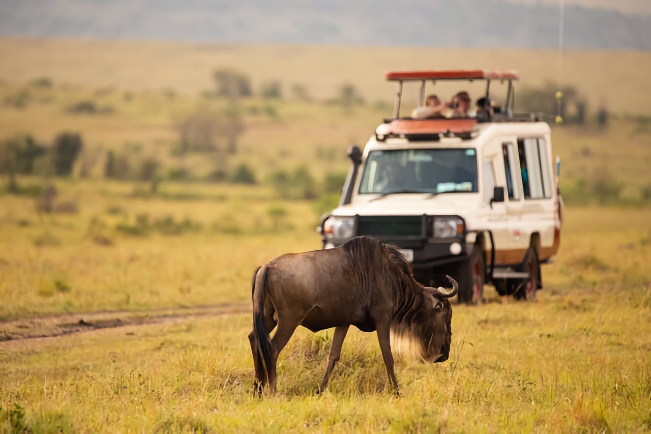 safari vehicle in Tanzania