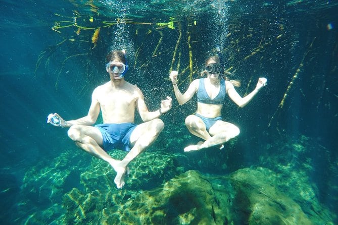 snorkelers under water