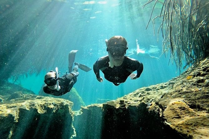 snorkelers under water