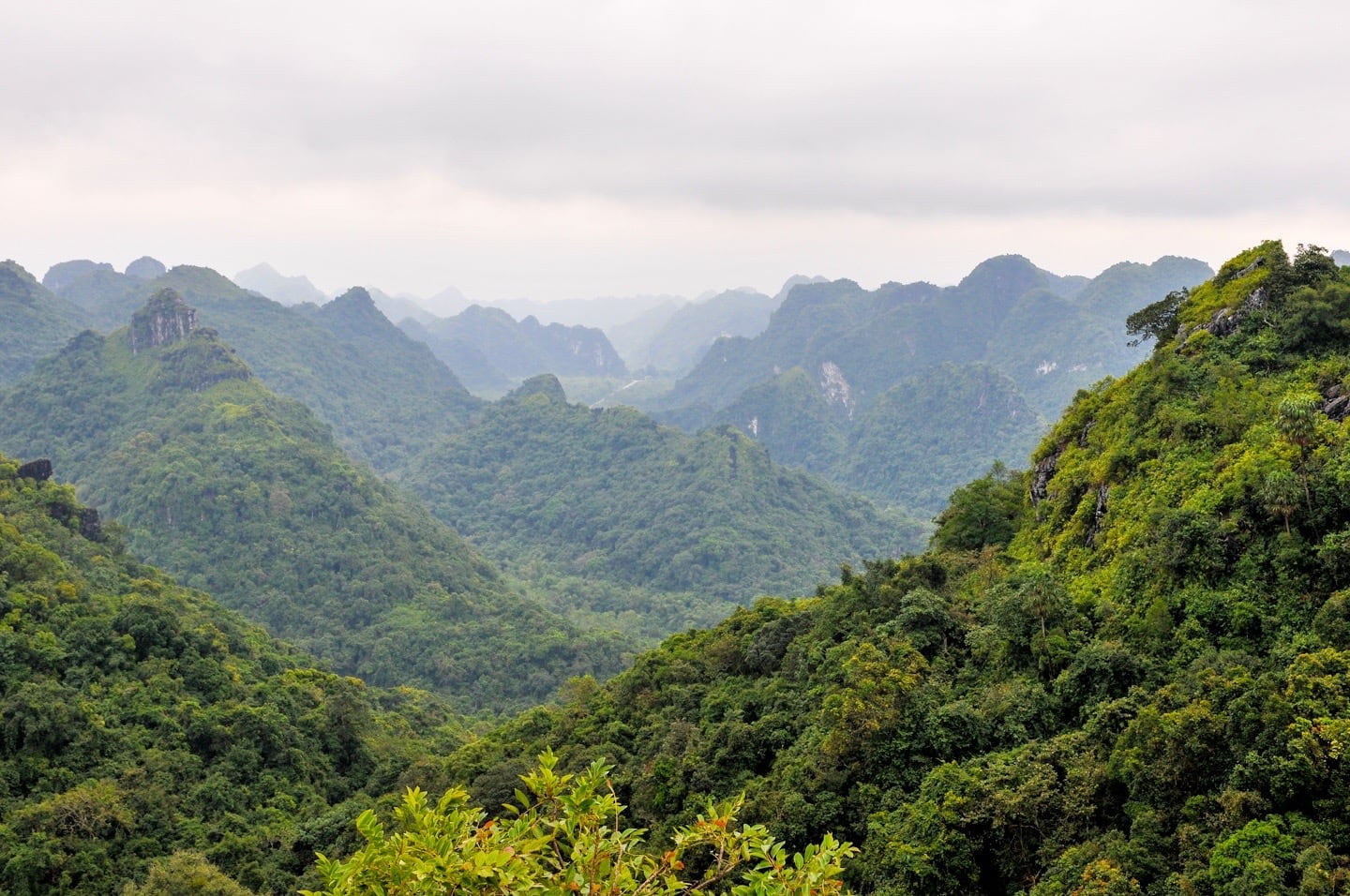 Cat Ba National Park Vietnam