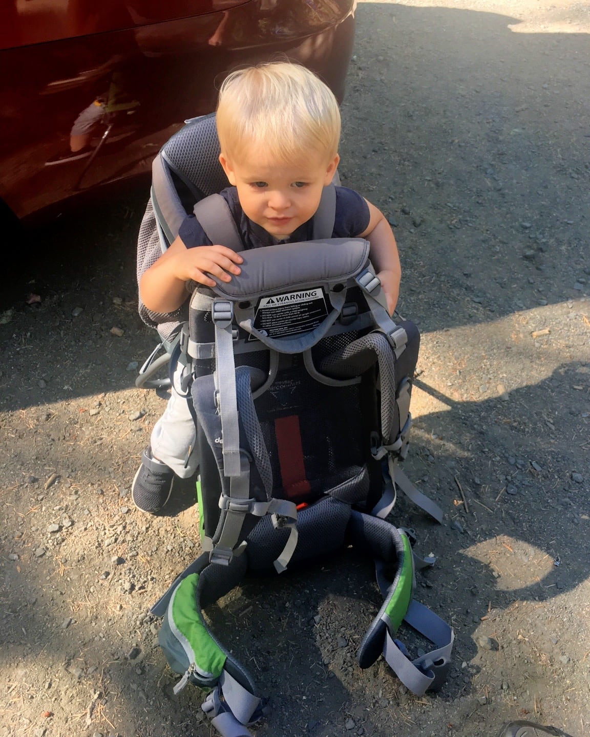 boy in child carrier