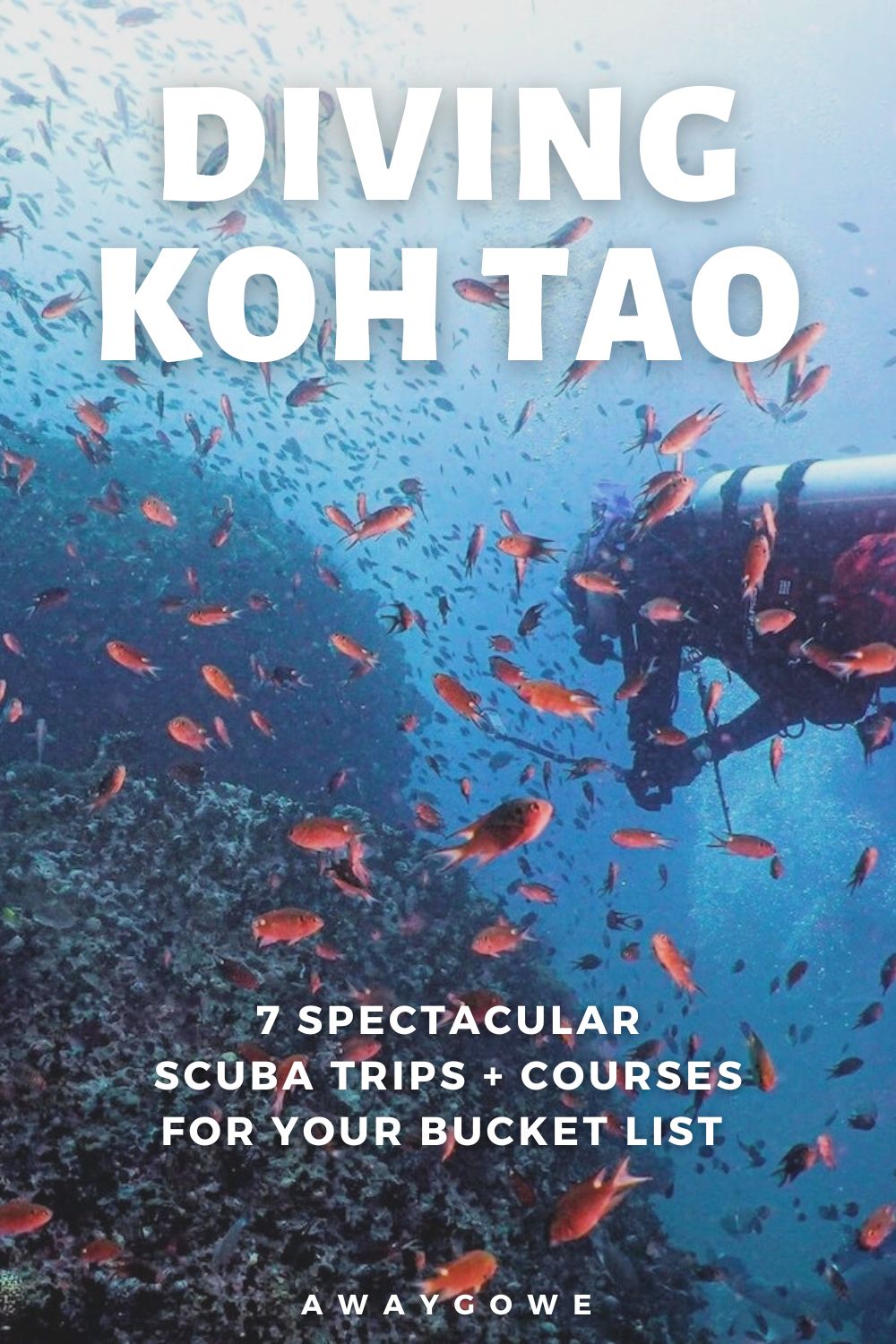 Koh Tao diving