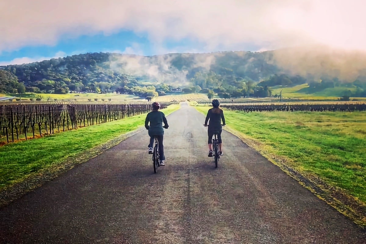 biking Sonoma Valley
