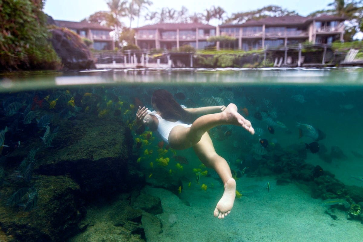 woman swimming underwater with tropical fish