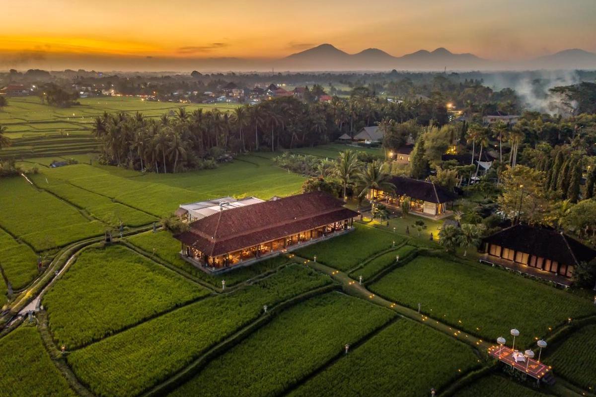 tropical island resort surrounded by rice paddies at sunrise