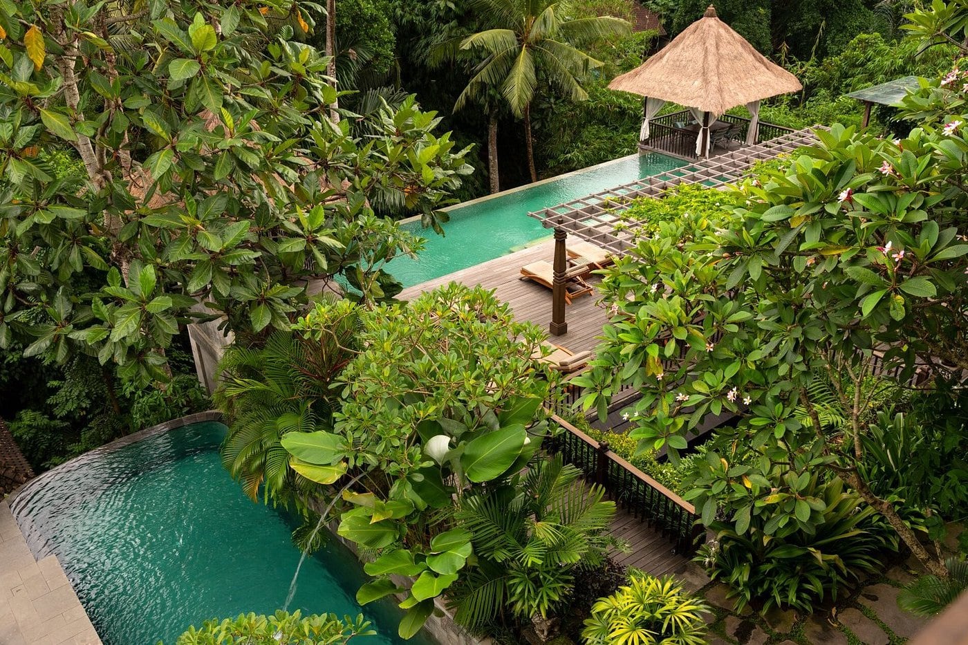 swimming pool in jungle