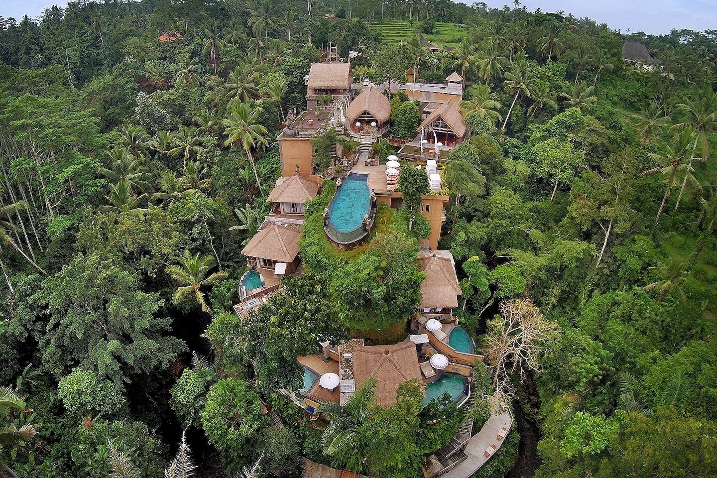 jungle resort from the sky