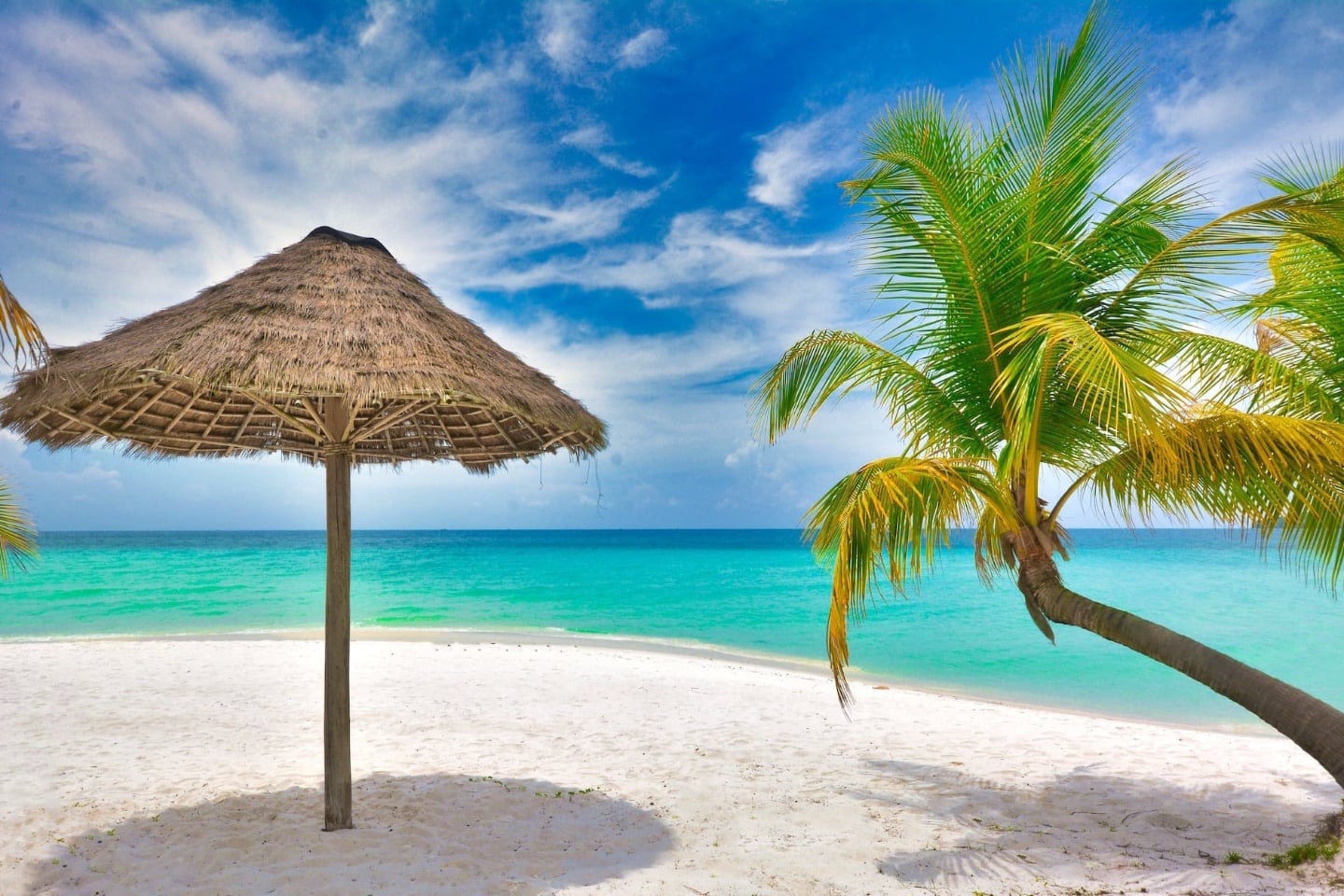 palapa and coconut tree on perfect beach at the best all-inclusive resorts on the planet