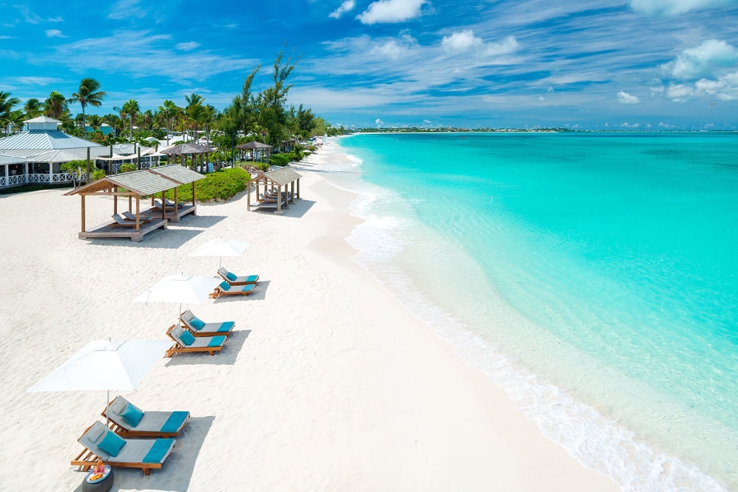 Caicos turks palms